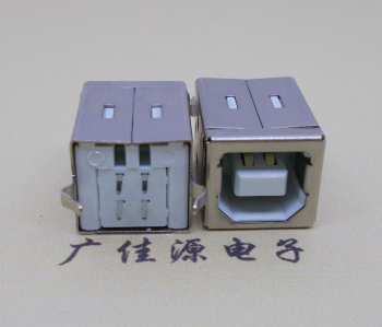 深圳USB BF180度母座 打印机接口 立式直插带赛
