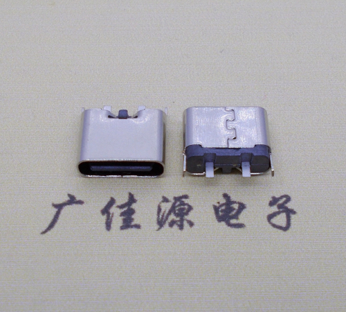 深圳铆合式type c2p母座两脚插板尾部带卡扣