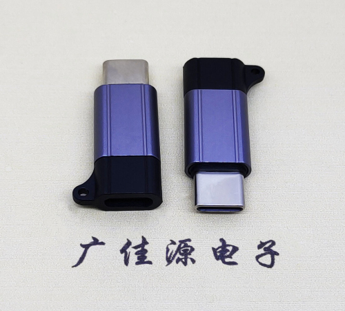 深圳Type-C母转Type-C公 USB3.1 PD100W快冲接口